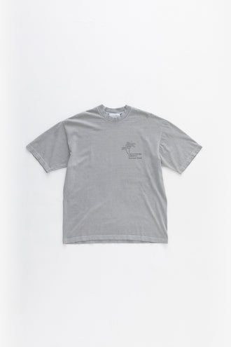 Cactus Store Drawing T-shirt Grey